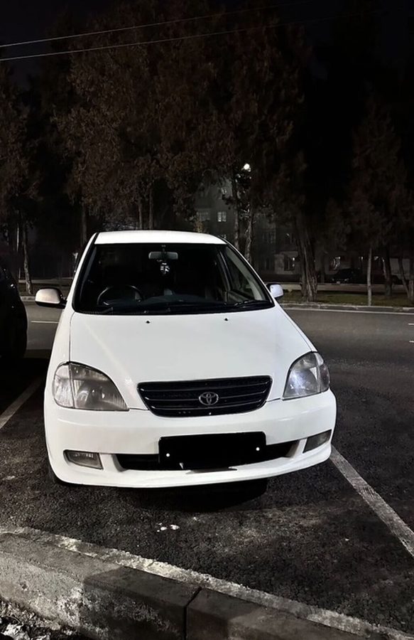 Toyota Nadia