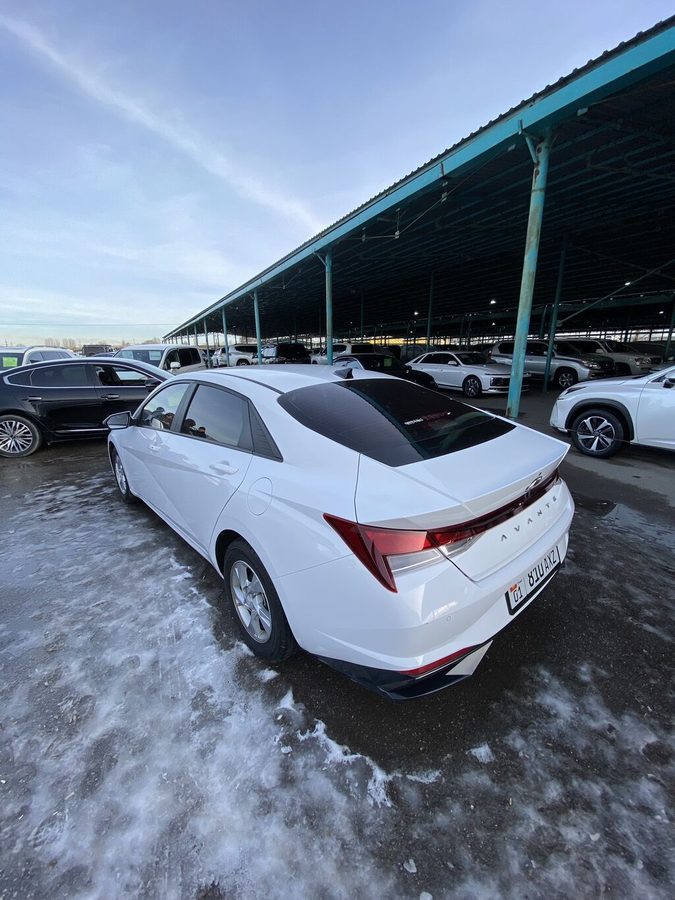 Hyundai Avante