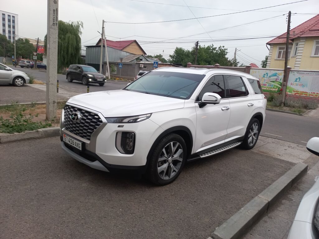 Hyundai Palisade