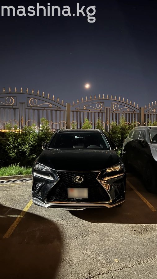 Lexus NX I Рестайлинг 2019