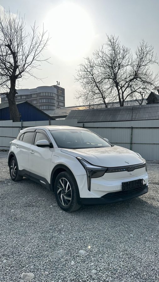 Hozon Neta U Pro Запас хода 500 км Год