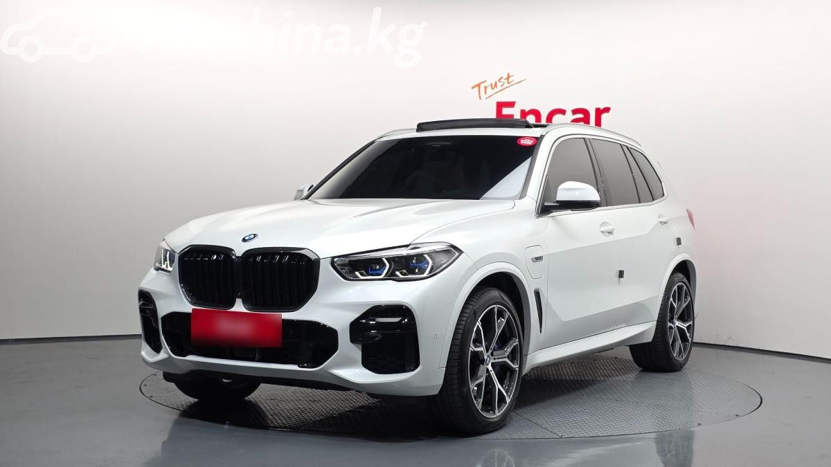 BMW X5 IV (G05/G18)