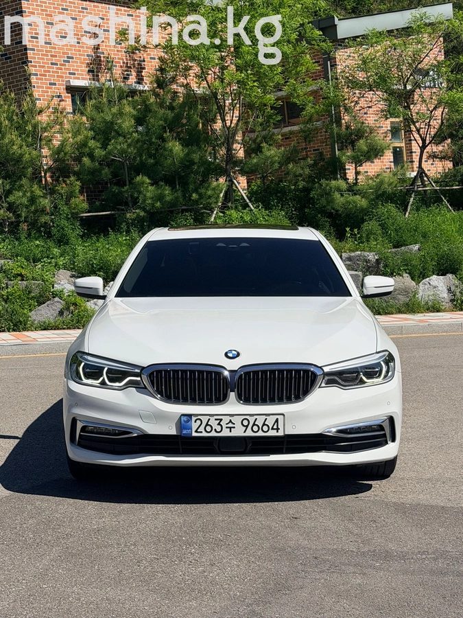 BMW 5 серии VII (G30/G31) 2019