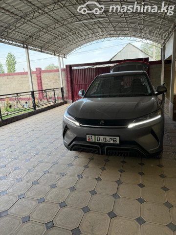 BYD Yuan Up