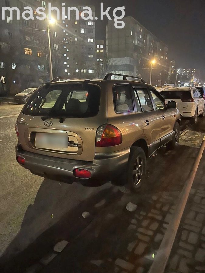 Hyundai Santa Fe I 2004