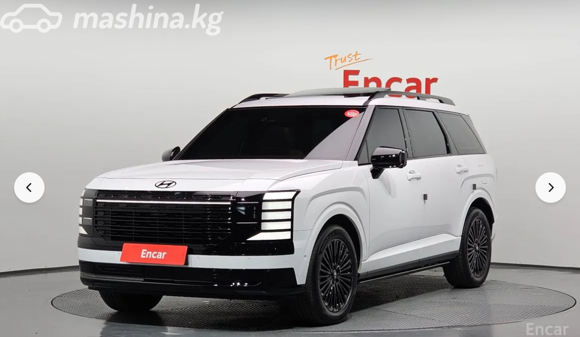 Hyundai Palisade II