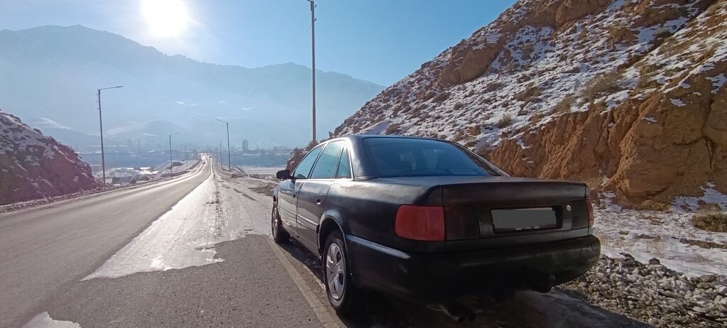 Audi 100