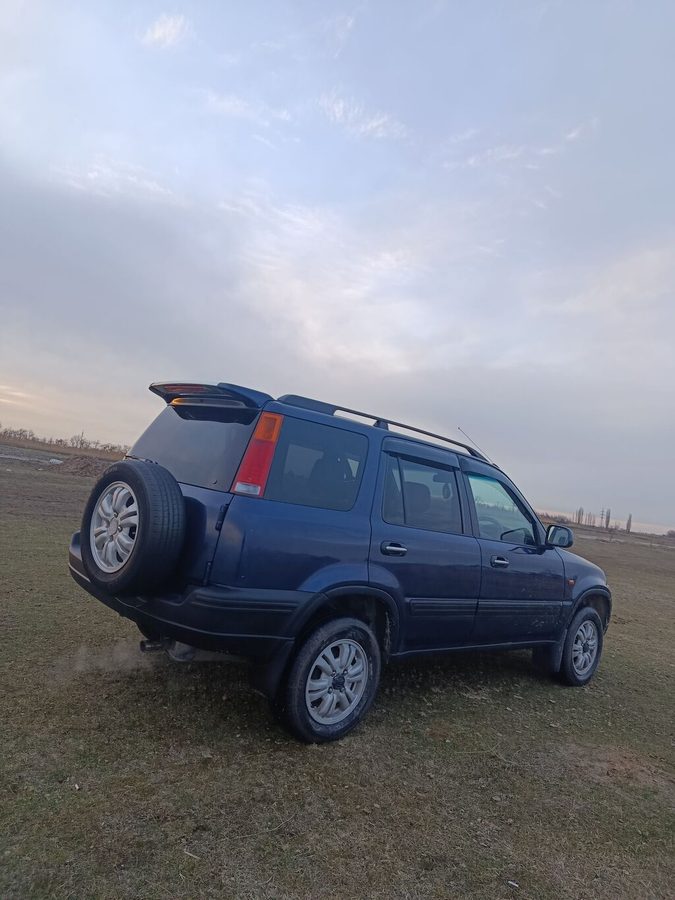 Фото 4