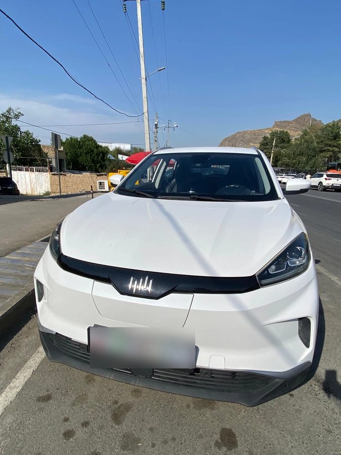 Weltmeister EX5 I 2020
