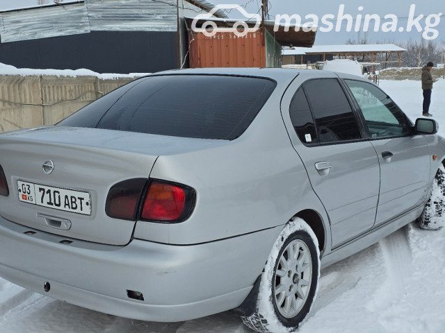 Фото 4