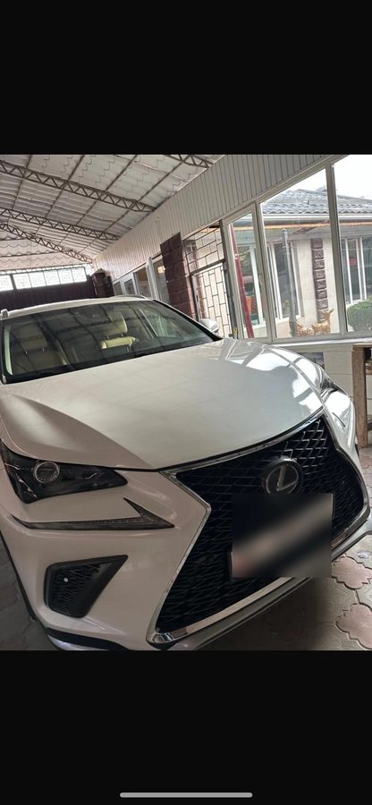 Lexus NX I Рестайлинг 2019