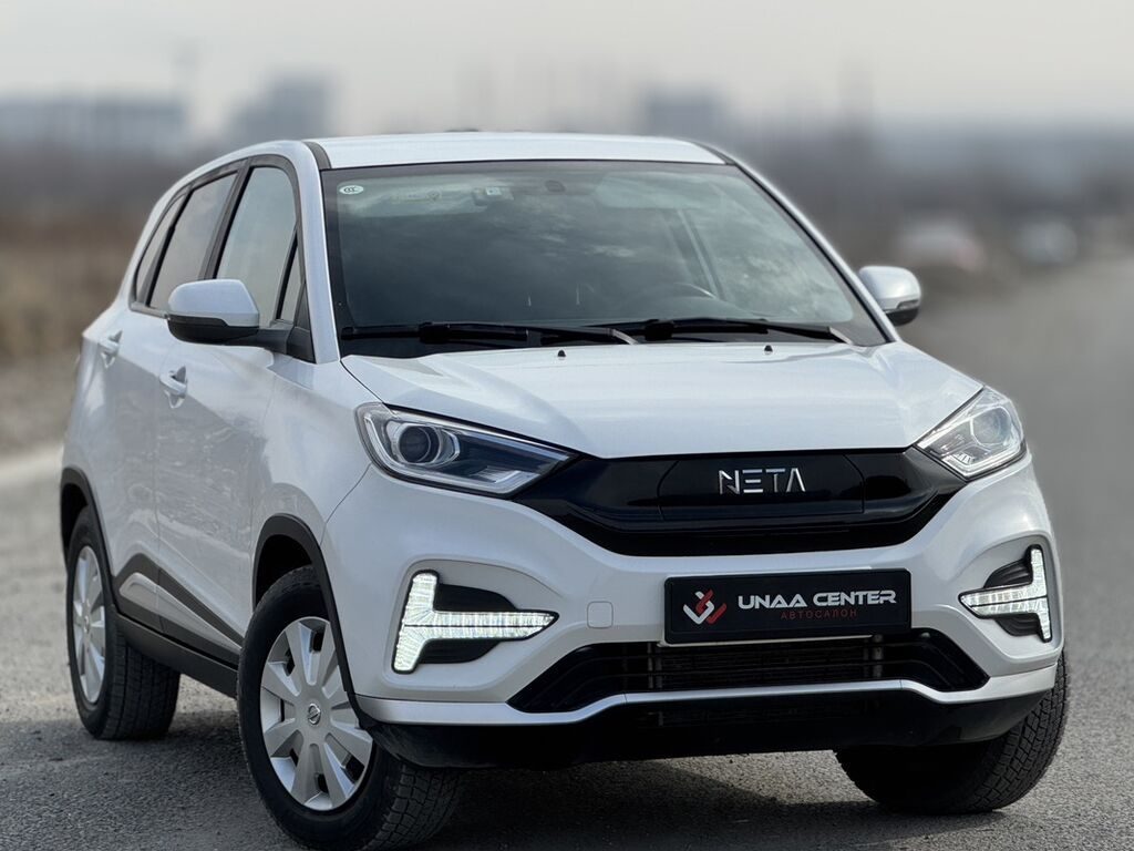 BYD E2