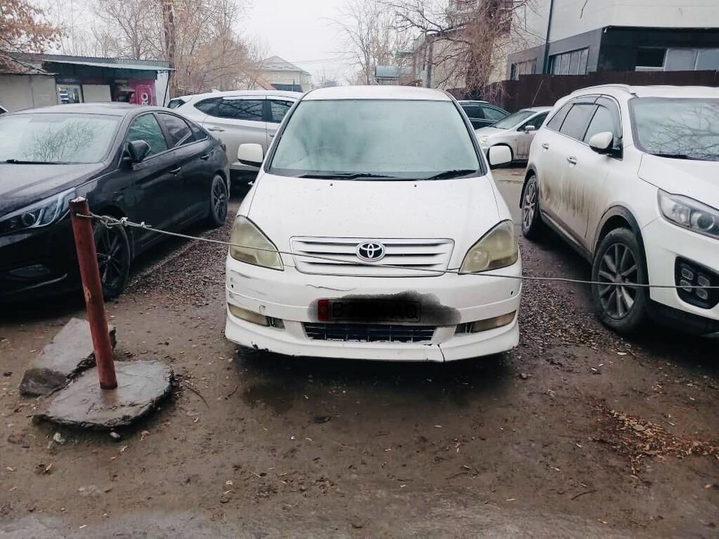 Toyota Ipsum
