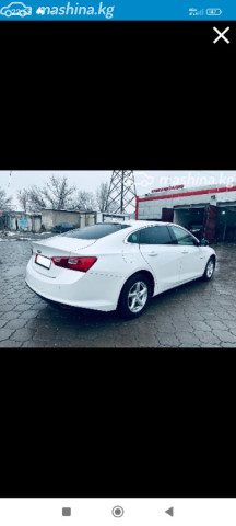 Фото 4