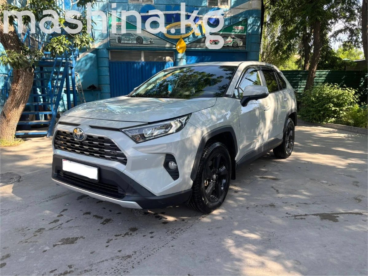 Toyota RAV4 V (XA50) 2020