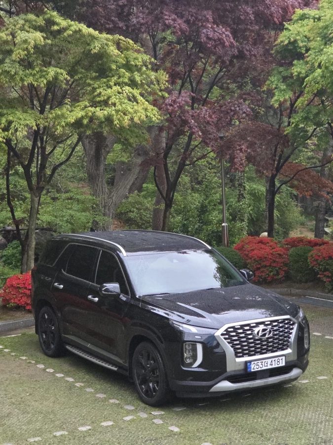 Hyundai Palisade I 2019