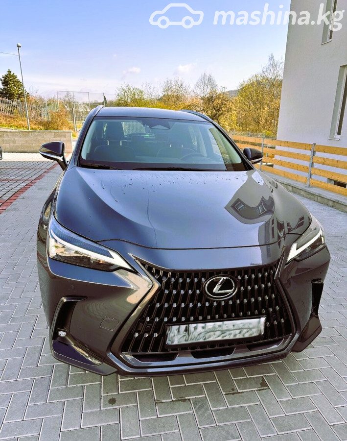 Lexus NX II