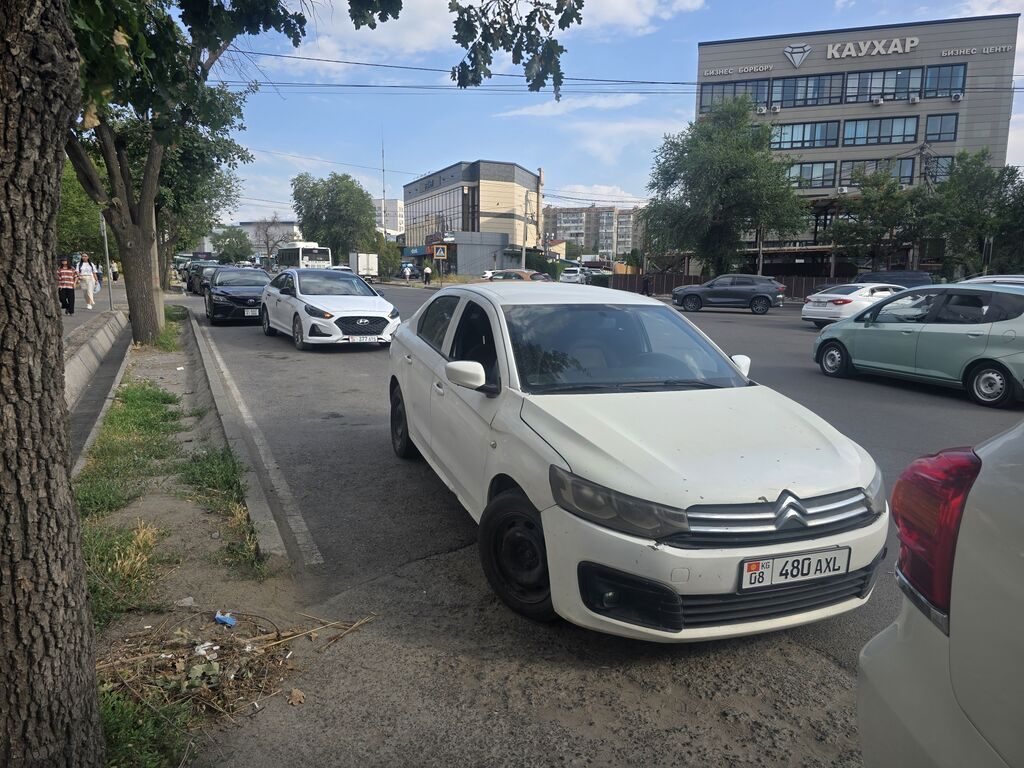 Citroen C-Elysee