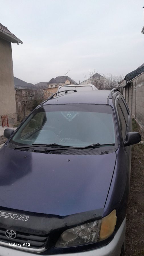 Toyota Ipsum
