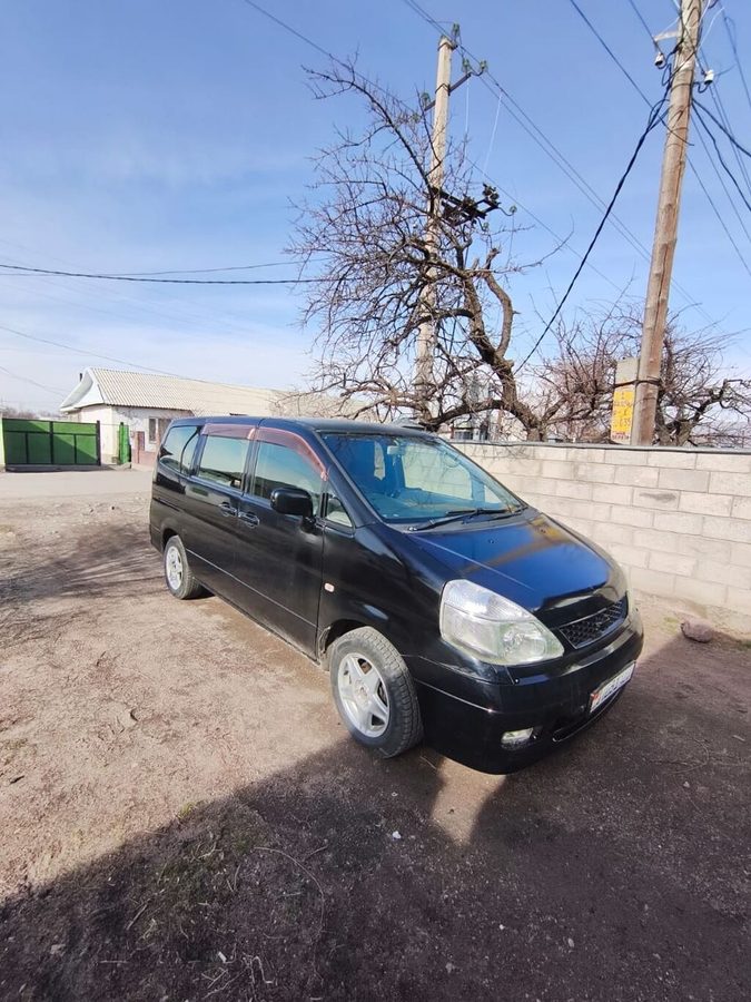 LDV 
