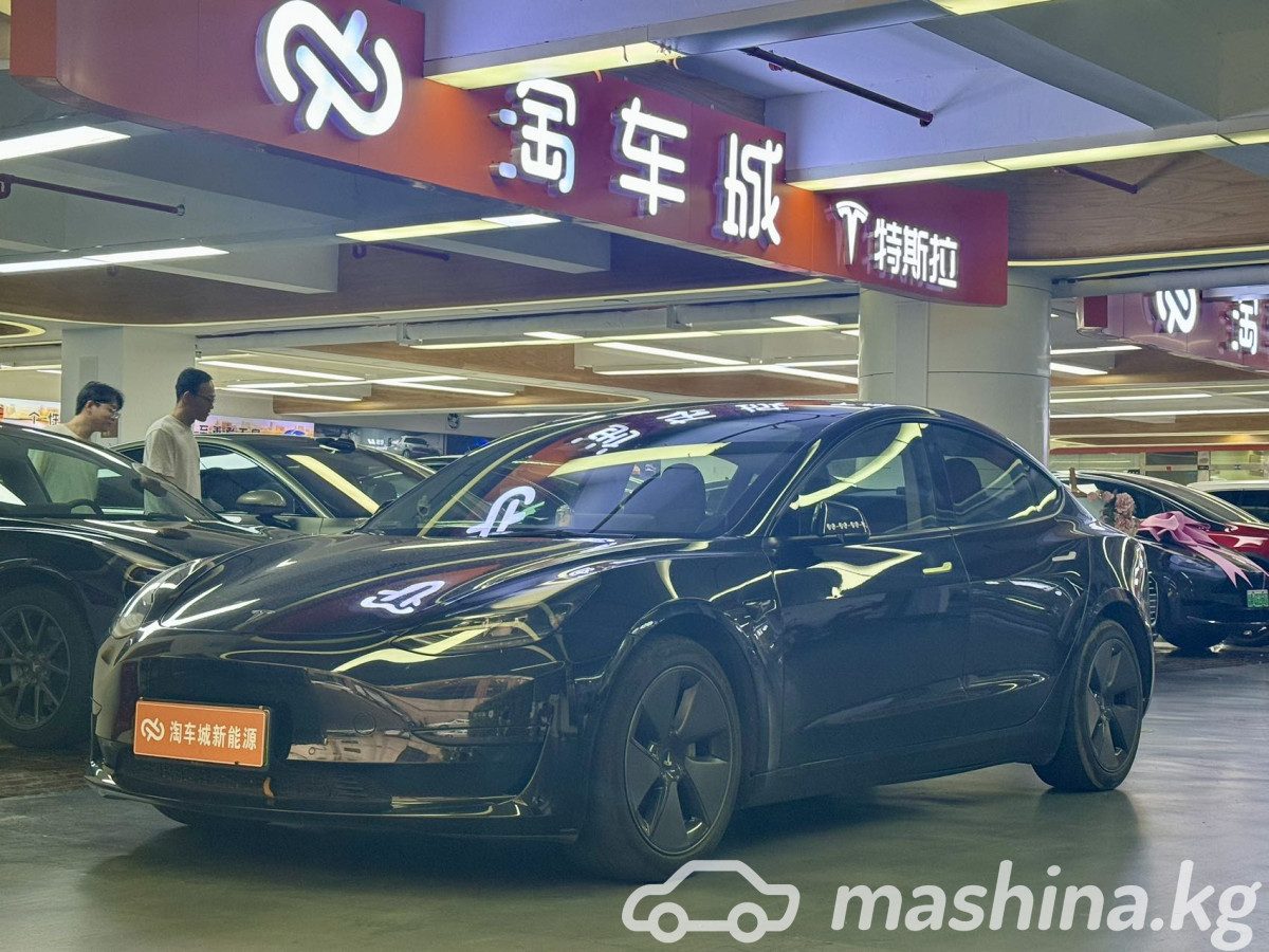 Tesla Model 3 I