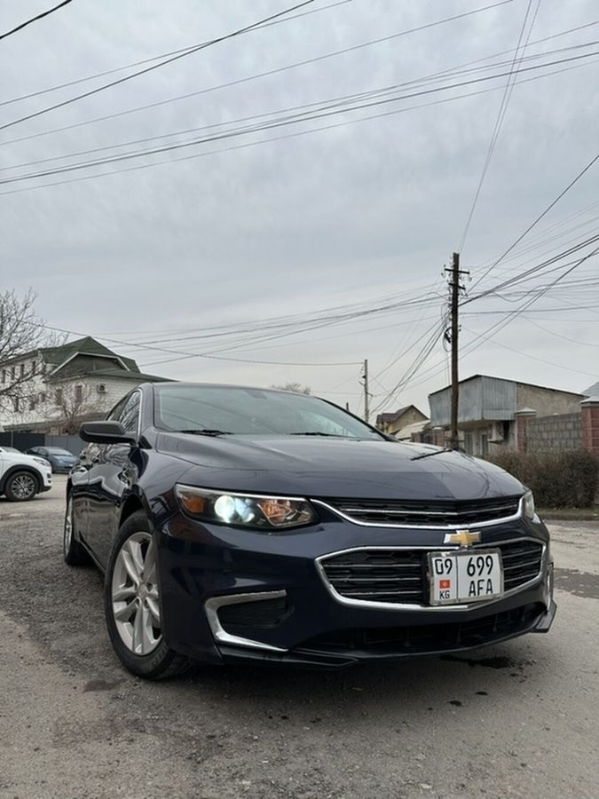 Фото 2