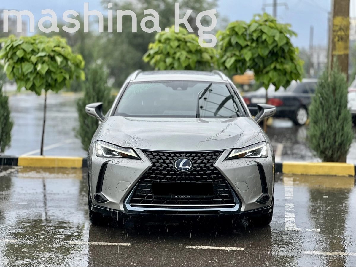 Lexus UX I 2019