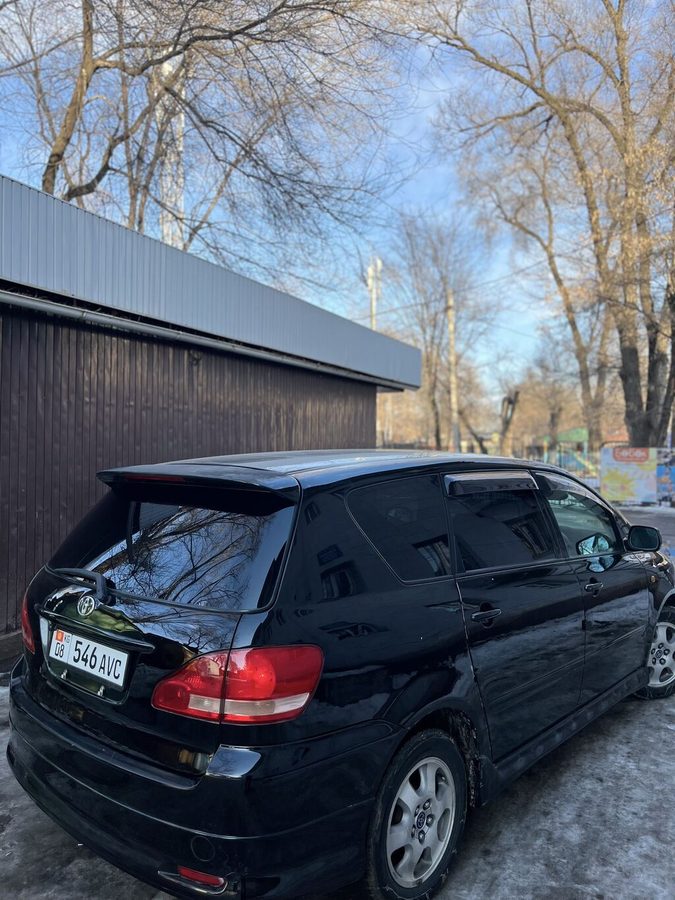 Toyota Ipsum