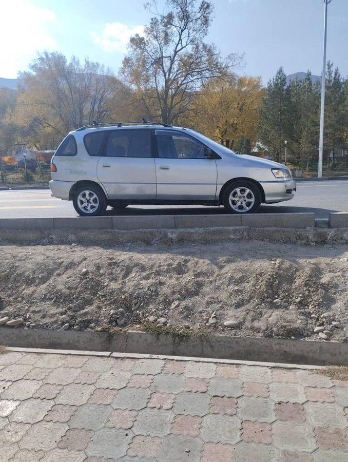 Toyota Ipsum