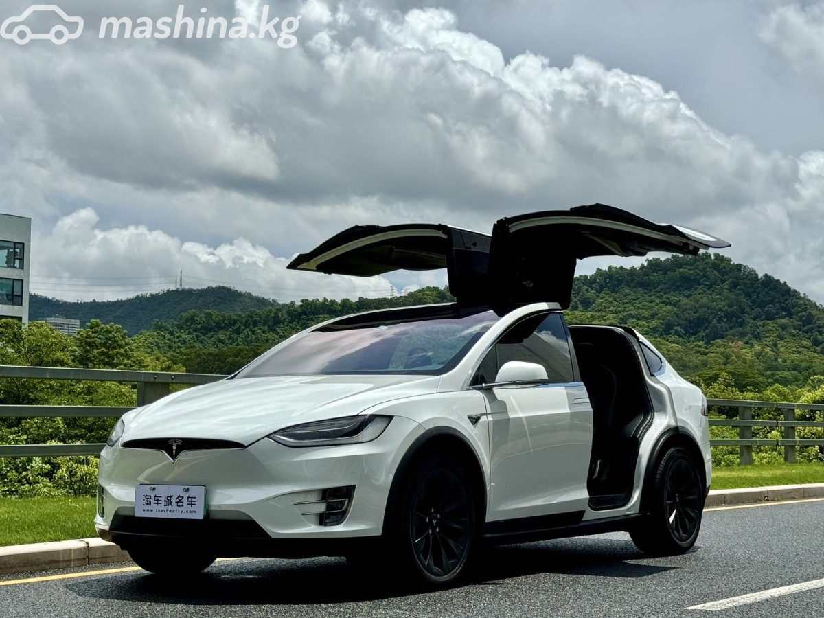 Tesla Model X I