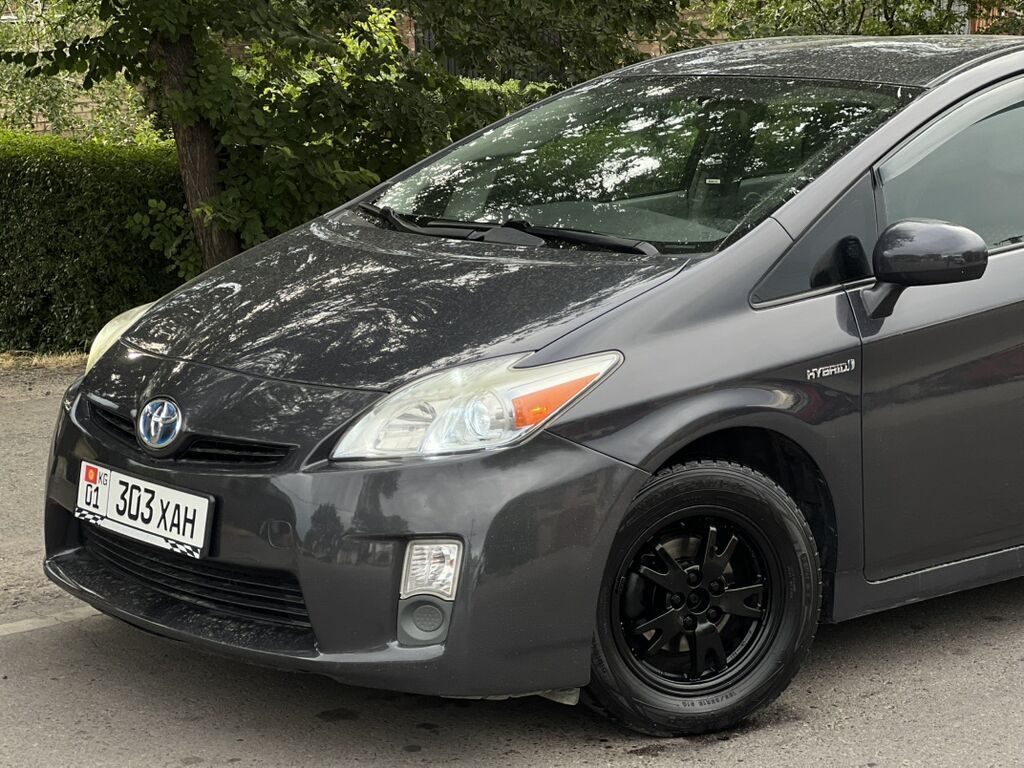 Фото 2