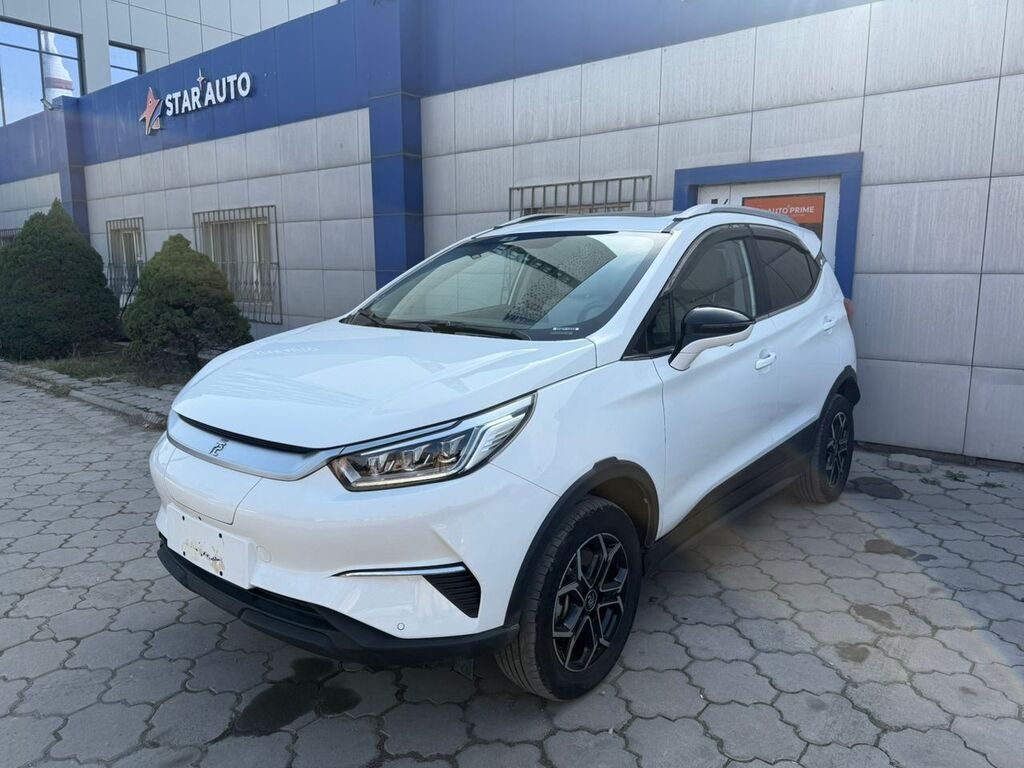 BYD 