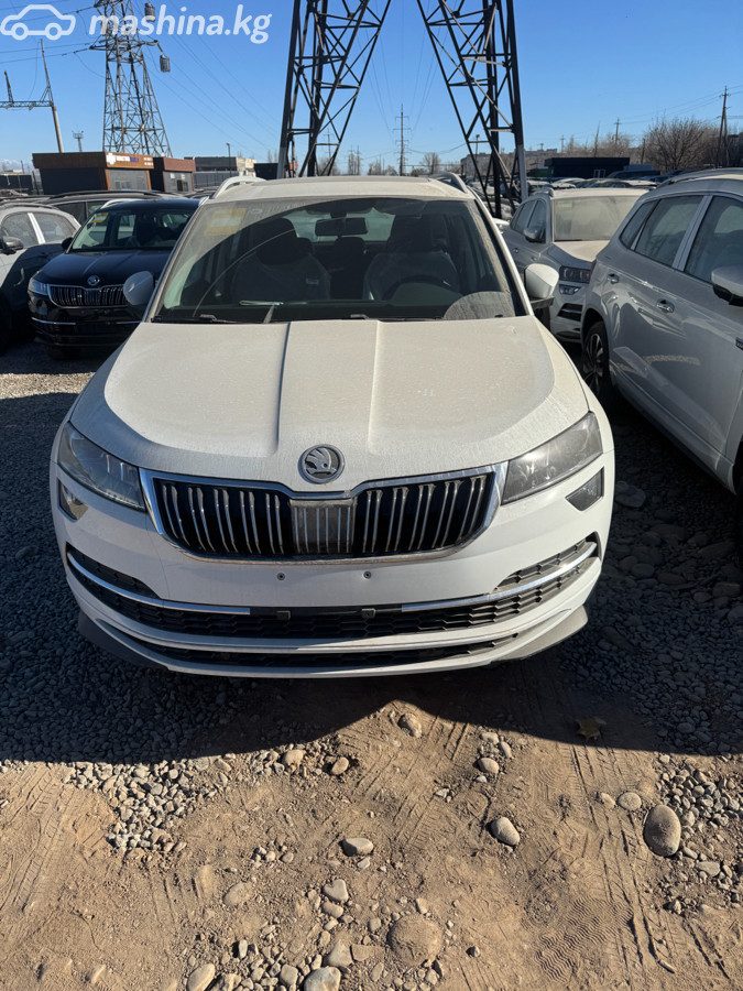 Skoda Karoq I