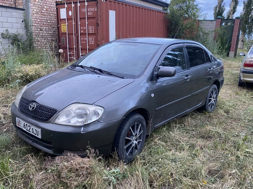 Toyota Corolla