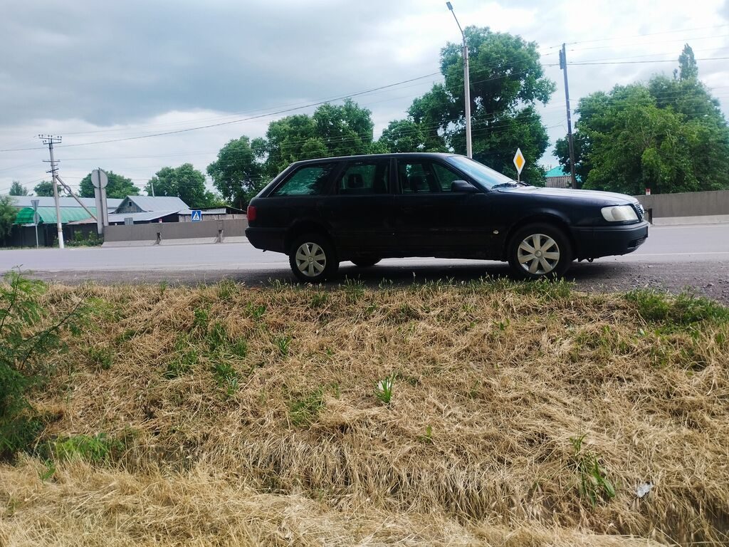Audi 100