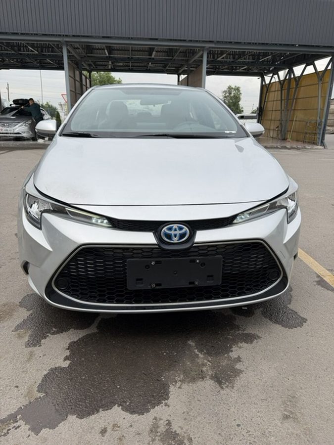 Toyota Levin