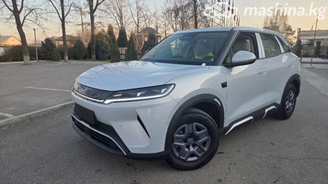 BYD Yuan Up