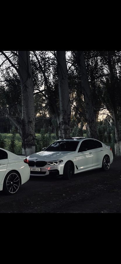 BMW 5 серии VII (G30/G31) 2017