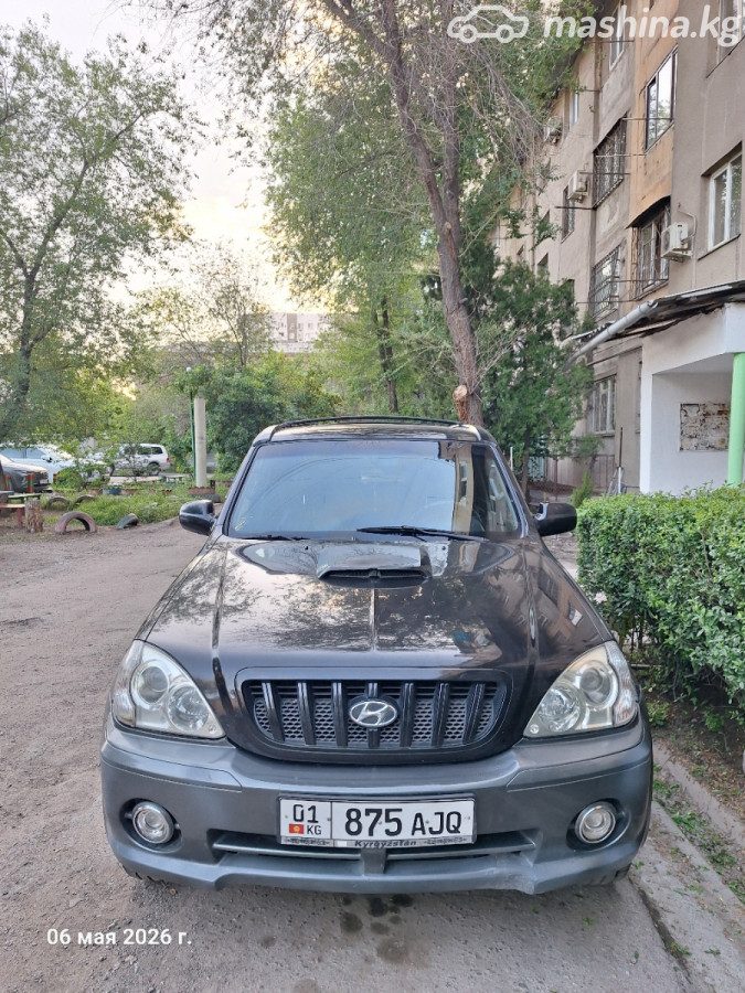 Hyundai Terracan I