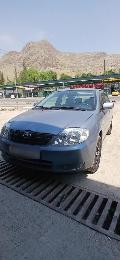 Toyota Corolla IX (E120, E130) 2003