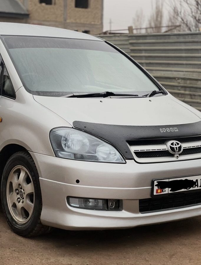 Toyota Ipsum