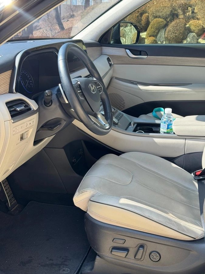 Hyundai Palisade I 2019