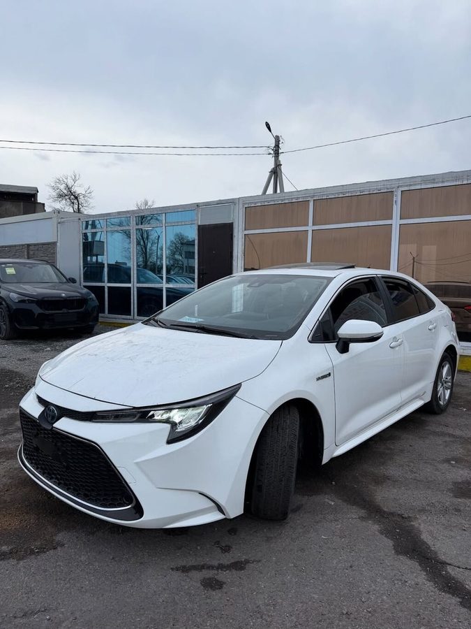 Toyota Levin
