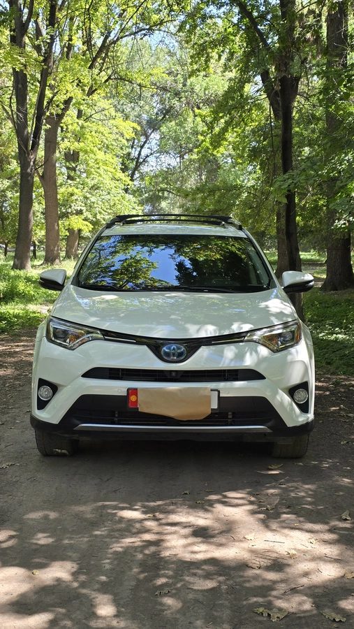 Toyota RAV4 IV (XA40) Рестайлинг 2016