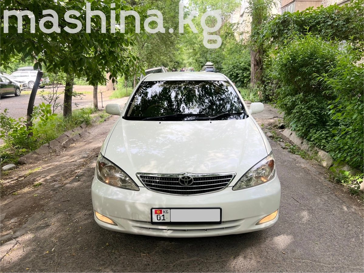 Toyota Camry V (XV30) 2004