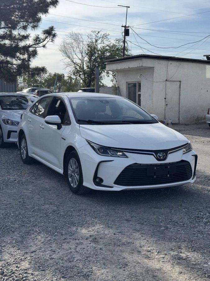 Toyota Corolla XII (E210) 2021