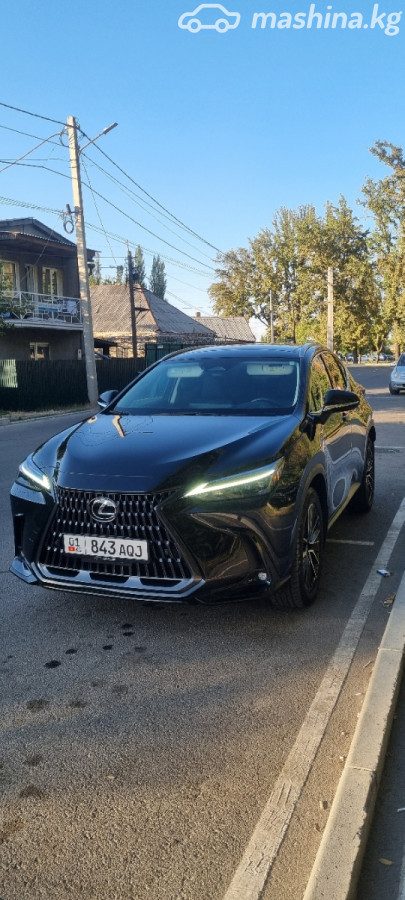 Lexus NX II