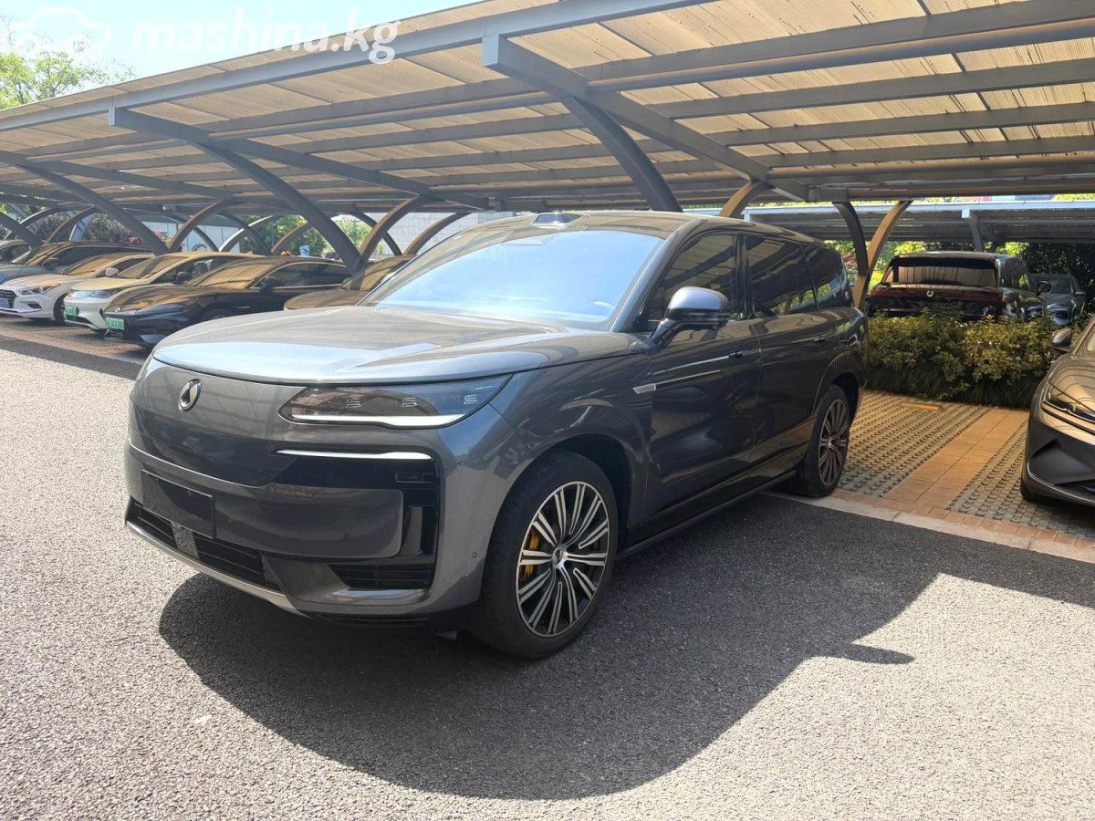 Denza N9