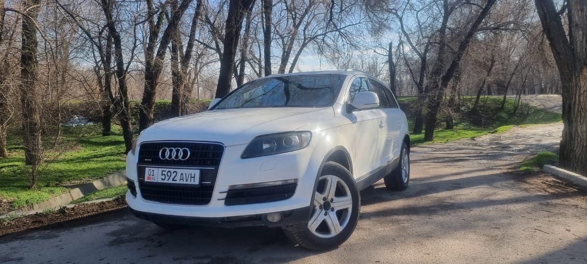 Audi Q7 I (4L) 2009