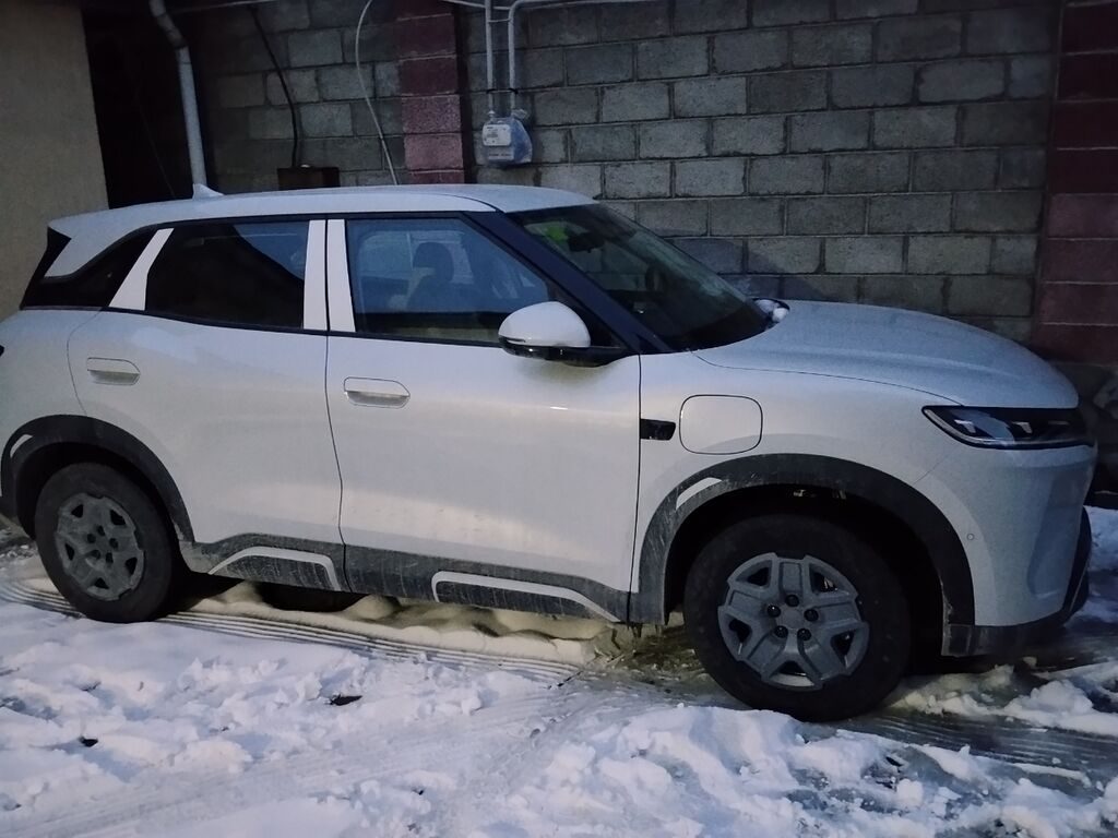 BYD Yuan Up